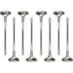 GSC 4B11 Evo X Intake Valves