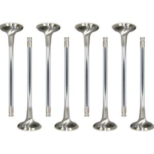 GSC 4G63 Evo DSM Intake Valves