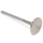 GSC R35 GTR Exhaust Valves