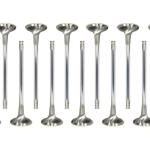 GSC R35 GTR Intake Valves