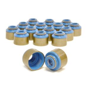GSC 4G63 Evo DSM Valve Stem Seals (1002)