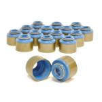 GSC 4G63 Evo DSM Valve Stem Seals (1002)