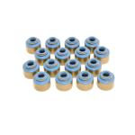 GSC 4G63 Evo DSM Valve Stem Seals (1002)