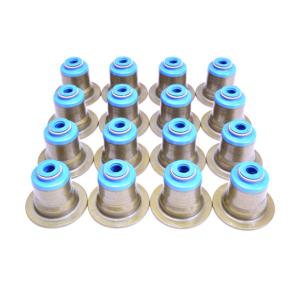 GSC 4B11 Evo X Valve Stem Seals (1010)