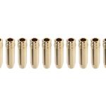 GSC R35 GTR Intake Valve Guides with Stopper (3046)
