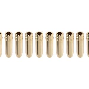 GSC R35 GTR Intake Valve Guides with Stopper (3046)