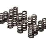 GSC 4G63 Evo 8/9 Beehive Springs (5039)