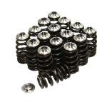 GSC 4G63 Beehive Spring Kit (5040)