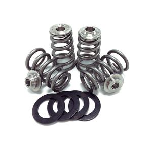 GSC R35 GTR Conical Valve Spring Kit High Pressure (5069)