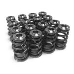 GSC EJ WRX/STi Conical High Pressure Valve Spring Kit (5073)