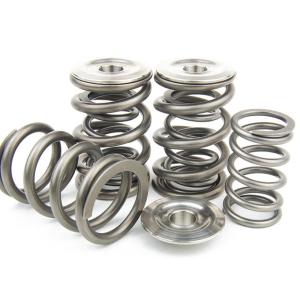 GSC BRZ/FRS/86 Dual Valve Spring Kit (5256)