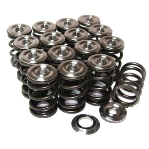 GSC BRZ/FRS/86 Single Valve Spring Kit (5756)