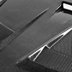 Seibon Carbon Fiber Hood DV Style Gloss for Evo X (HD0809MITEVOX-DV)