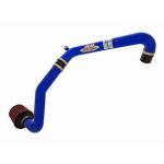AEM Cold Air Intake