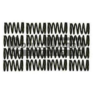 Valve Spring Set - 2ZR-FE