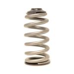 Kiggly Valve Spring Kit Race Only for 4G63 (SS-RACE)