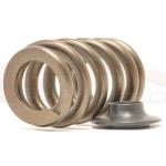 Kiggly Valve Spring Kit Steel Street for 4G63 (SS-ST)
