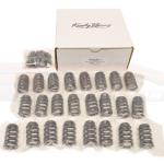 Kiggly Valve Spring Kit Beehive for 3000GT (6G72-SS)