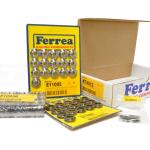 Ferrea Dual Valve Spring Kit with Locks for DSM / Evo 1-3 (KT4012)
