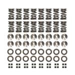 Ferrea Dual Valve Spring Kit for Evo X (KT4014)