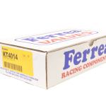 Ferrea Dual Valve Spring Kit for Evo X (KT4014)