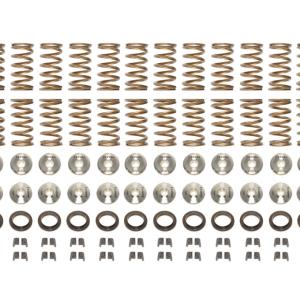 Ferrea Single Valve Spring Kit for R35 GTR (KT4016)