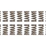 Kelford EJ WRX/STi Valve Springs (KVS109-STi)