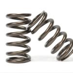 Kelford Valve Springs for 4B11 Evo X (KVS11)