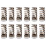Kelford Valve Spring Set for 2023+ Corolla GR (KVS264)