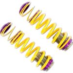 KW HAS Height Adjustable Spring Kit for 2017+ Audi R8 (253100AN)