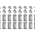 Supertech Single Valve Spring Kit for 4G63 Evo/DSM (SPRK-M1007S)
