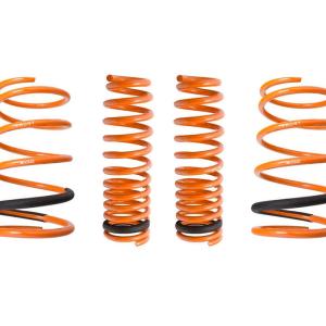 Megan Racing Lowering Springs for 3000GT AWD (MR-LS-M3GT)