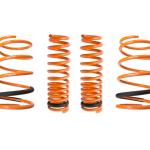 Megan Racing Lowering Springs for 3000GT AWD (MR-LS-M3GT)