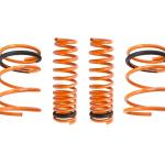 Megan Racing Lowering Springs for 1G DSM AWD (MR-LS-ME89)