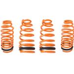 Megan Racing Lowering Springs for 2G DSM (MR-LS-ME9599)