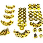 Dress Up Bolts Titanium Full Engine Bay Kit for 1G DSM (MIT-013)
