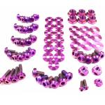 Dress Up Bolts Titanium Full Engine Bay Kit for 1G DSM (MIT-013)