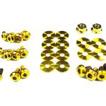 Dress Up Bolts Titanium Partial Engine Bay Kit for 1G DSM (MIT-014)