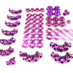 Dress Up Bolts Titanium Full Engine Bay Kit for 2G DSM (MIT-015)