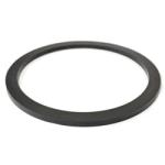 Mitsubishi Fuel Pump Hanger O-Ring - Evo X