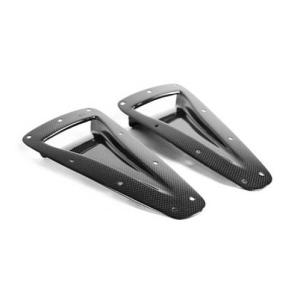 APR Carbon Fiber Universal Air Inlet Ducts Type 2 (NACA-032026)