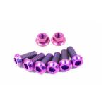 Dress Up Bolts Titanium Strut Tower Kit for Nissan 350Z (NIS-010)