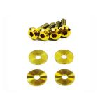 Dress Up Bolts Titanium Engine Cover Kit for R35 GTR (NIS-039)