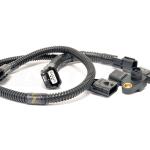 Omni Power 4 Bar Speed Density Harness for R35 GTR (HAR-GTR-SD)