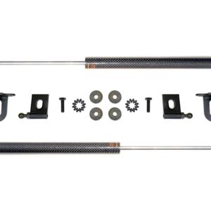 Prosport Carbon Fiber Hood Dampers for Evo X (HD-MITS-EVO-10)
