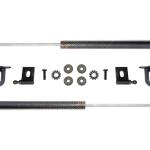 Prosport Carbon Fiber Hood Dampers for Evo X (HD-MITS-EVO-10)