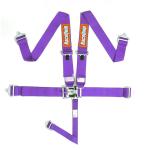 RaceQuip 5-Point SFI 16.1 Latch & Link Harness