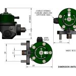 Radium DMR Direct Mount Fuel Pressure Regulator for 2-Bolt Rail * Discontinued*