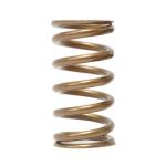 Ferrea Single Valve Springs for R35 GTR (S10137)
