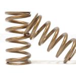 Ferrea Single Valve Springs for R35 GTR (S10137)